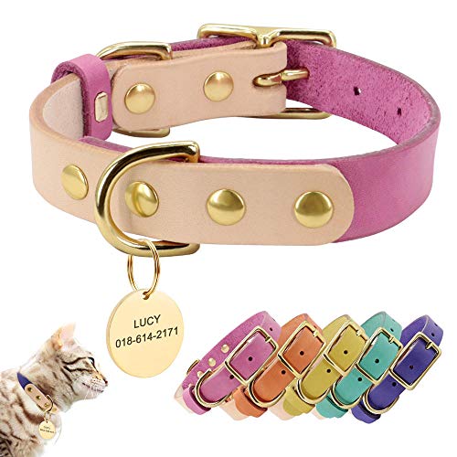 MMWW Gato de Cuero Personalizado Collar de Perro de Mascota Grabado Nombre de Perro Etiquetas de identificación para Perros pequeños medianos Chihuahua Yorkshire-Orange_M