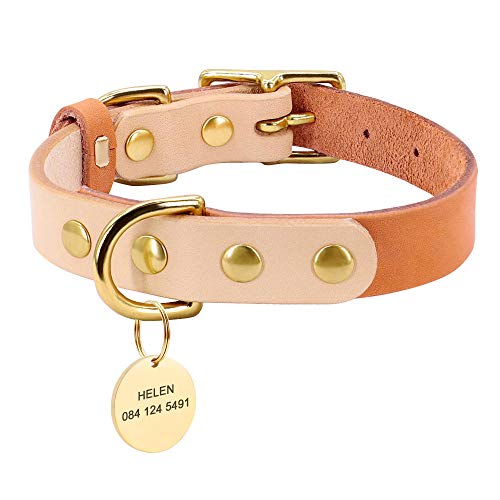 MMWW Gato de Cuero Personalizado Collar de Perro de Mascota Grabado Nombre de Perro Etiquetas de identificación para Perros pequeños medianos Chihuahua Yorkshire-Orange_M