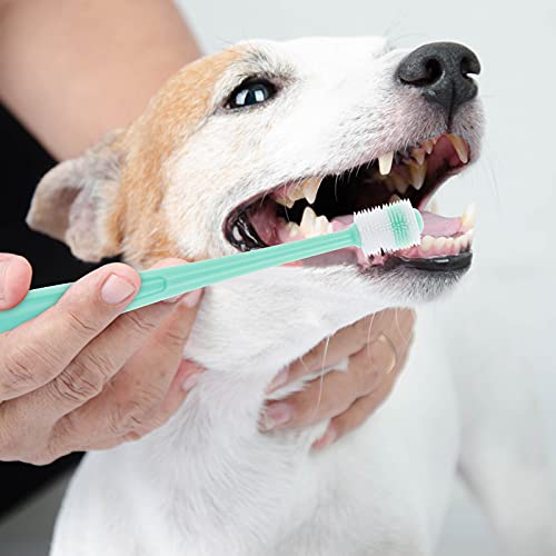 Molain 2 cepillos de dientes de perro de 360 grados, cepillos de dientes de silicona suave para mascotas con cajas de almacenamiento, cepillo de dientes para gato, kit de limpieza de dientes de perro