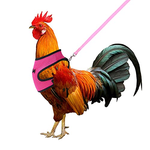 Molain Arnés de pollo con correa ajustable transpirable para gallina mascota chaleco arnés para mascotas para pato ganso gallina traning caminar medio (rosa)