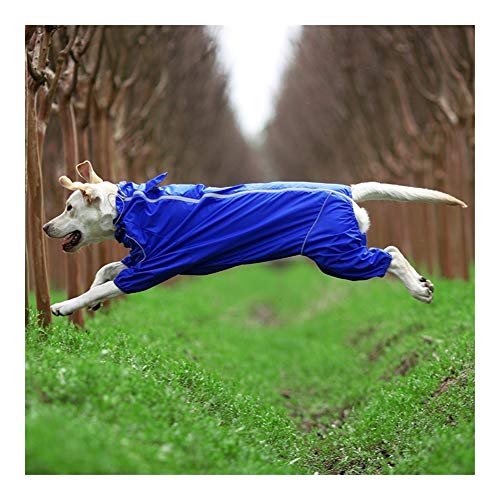 MOLUO Chubasquero para perros y mascotas, impermeable, con cremallera, cuello alto, con capucha, para perros pequeños, grandes y grandes, capa de lluvia y labrador (color: azul, tamaño: 26)