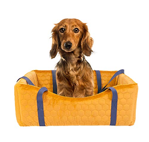 MOOI Cama para Perros, sofá para Perros, Lavable, Exclusiva, Cama para Gatos, cojín para Perros para Perros pequeños y medianos y Grandes, Color Dorado