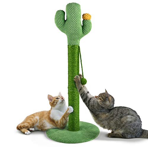 Mora Pets Rascador Gato Árbole para Gatos Cactus, 83x39cm (H x Ø) , Poste Rascadores de Sisal Natural, Color Grün