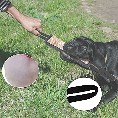 Mordedor de Entrenamiento, Juguetes para Perros de Entrenamiento con Asas, para Perros Medianos a Grandes, Juguetes Masticables Ideales para El Tira y Afloja