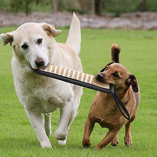 Mordedor de Entrenamiento, Juguetes para Perros de Entrenamiento con Asas, para Perros Medianos a Grandes, Juguetes Masticables Ideales para El Tira y Afloja