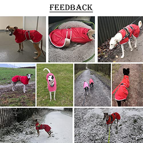 MOREZI Abrigo de Invierno para Perro, Capa Exterior Impermeable, Forro Polar, con cordón Ajustable y Hebilla de Velcro, Apto para Perros medianos y Grandes como los Galgos-Rosa-XS