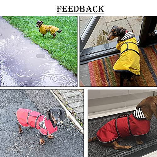 MOREZI Abrigo Impermeable para Perros con Hebilla de Hook Loop y Orificio para cordón, Adecuado para Perros Salchicha, sabuesos y Razas de Perros similares-Amarillo-XL