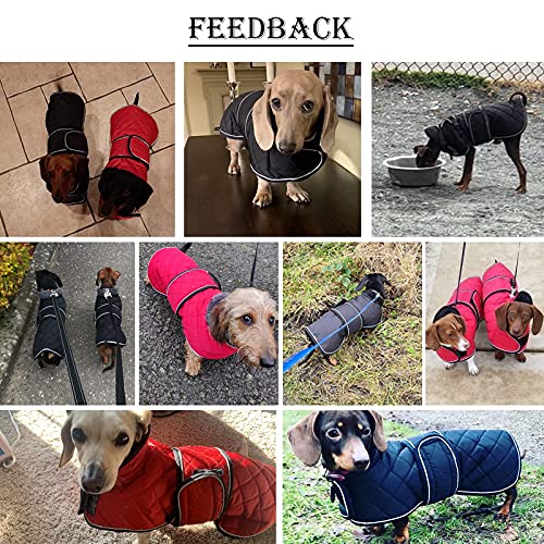 MOREZI Chaqueta de Invierno Dachshund, Forro Polar Acolchado, con Agujeros para cinturón de Seguridad y Hook Loop, Talla Ajustable, fácil de Poner y Quitar-Rosa-L