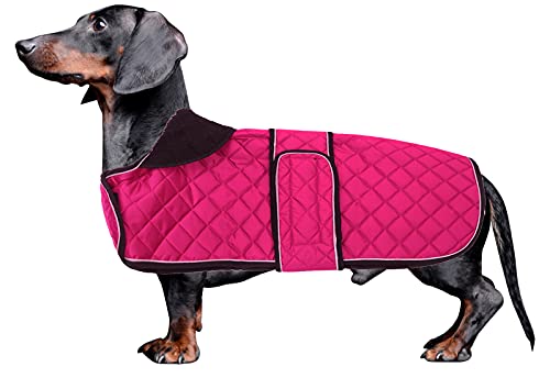 MOREZI Chaqueta de Invierno Dachshund, Forro Polar Acolchado, con Agujeros para cinturón de Seguridad y Hook Loop, Talla Ajustable, fácil de Poner y Quitar-Rosa-L