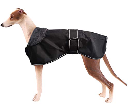 MOREZI Chaqueta Impermeable para Perros, con Forro de Cachemira, con Hebilla de Hook Loop Ajustable, Apto para Perros medianos y Grandes-Negro-XXXL