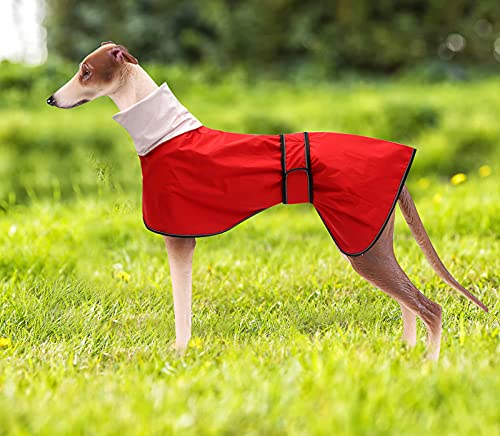 MOREZI Chubasquero para Perro, Cortaviento e Impermeable, Cuello Alto abatible, con Orificio para Cuerda de Seguridad y Hebilla de Velcro, Apto para Perros de tamaño Mediano-Rojo-XXL