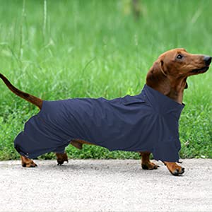 MOREZI Chubasquero para Perro de Cuatro Patas, Impermeable y Cortavientos, Alta transpirabilidad, diseño de Cremallera Trasera, con Rayas Reflectantes y cordón Ajustable-Azul Navy-L