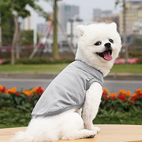 Mosucolera Camiseta De Chaleco De Perro,Camisa De Mascotas Sudaderas Capucha Camisa Top Cachorros Ropa por Pequeña Gatos Perros Medios Osito Peluche Chihuahua Yorkie Gatos