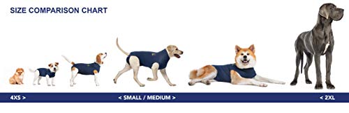 MPS Medical Pet Shirt, Perro, Azul, XXS