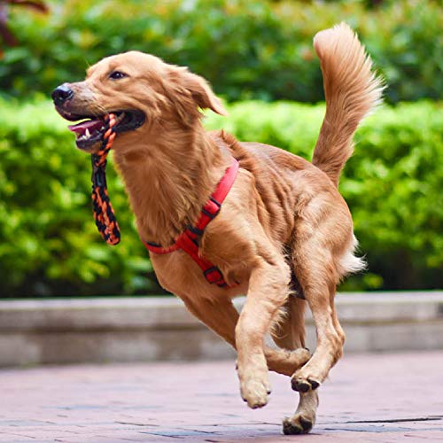 MY LIKE Juguetes de cuerda para mascotas, juguetes para masticar perros, entrenamiento de dentición interactivo, juego de 6 unidades, para perros medianos o pequeños Kong