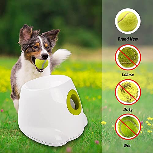 N / B Lanzador de Bolas para Perros Grandes, Lanzador de Bolas automático Interactivo de Juguete para Perros, con baterías Recargables, 3 Bolas Incluidas, para Perros pequeños y medianos