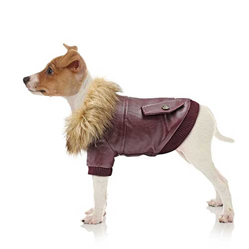 NAMSAN Abrigo para Perros Invierno Ropa para Perros Cuero Chaqueta para Perros Abrigado con el Borreguito y Botones Mascotas Disfraces para Pequeño/Medianos Perros (Rojo) - S