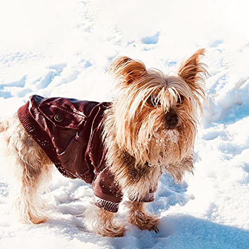 NAMSAN Abrigo para Perros Invierno Ropa para Perros Cuero Chaqueta para Perros Abrigado con el Borreguito y Botones Mascotas Disfraces para Pequeño/Medianos Perros (Rojo) - S