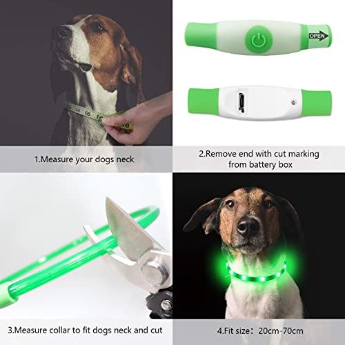 NASTRA Collar Luminoso Perro,Recargable Collares Luminosos para Perros,Collar Led Perro Luz Mayor Visibilidad y Seguridad Talla única para Todos los Perros y Gatos