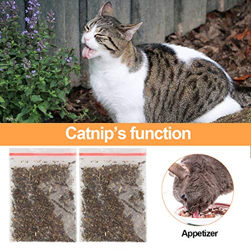 Natuce 5pcs Juguete Hierba Gatera, 20CM Juguete para Gato, Catnip Juguetes, Forma de Pez, Juguetes Simulación Peluches Pescado, Juguetes para Mascotas, Pescados del Juguete, Interactiva Mascota