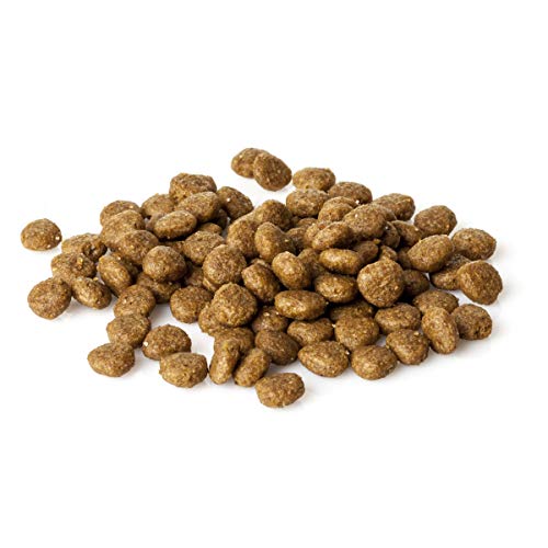 Natura diet Puppy starter 3 kg Alimento Natural seco.