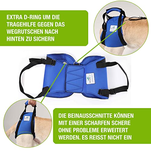 NATURE PET Accesorio Posterior para Transportar Perros - Asistencia en la rehabilitación y en Caso de Problemas en la Columna Vertebral, la Cadera y Las Rodillas - Negro - XS