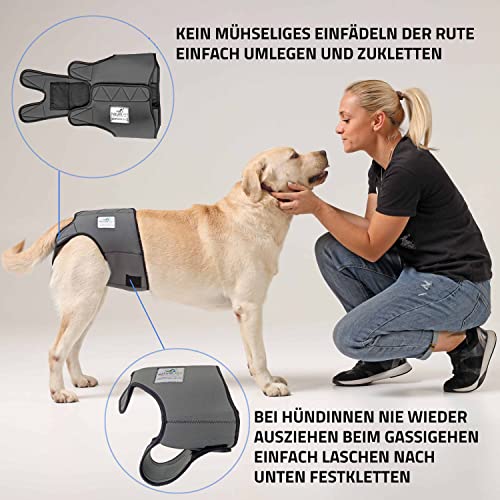 NATURE PET Braguitas para Perros Hembra en periodo de celo/Braguitas para Perros Macho/Braguitas Protectoras de Neopreno Perforado Gris - XS