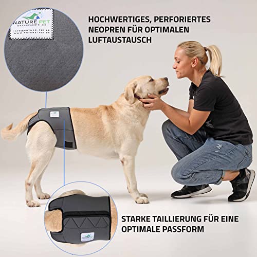 NATURE PET Braguitas para Perros Hembra en periodo de celo/Braguitas para Perros Macho/Braguitas Protectoras de Neopreno Perforado Gris - XS