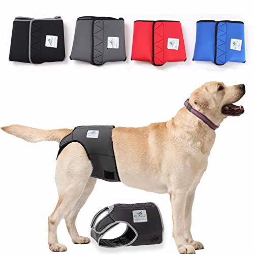 NATURE PET Braguitas para Perros Hembra en periodo de celo/Braguitas para Perros Macho/Braguitas Protectoras de Neopreno Perforado Negro - L-L