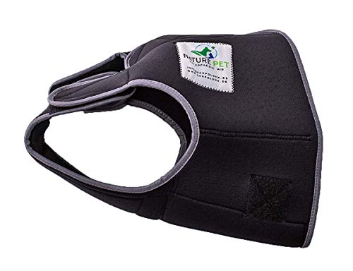 NATURE PET Braguitas para Perros Hembra en periodo de celo/Braguitas para Perros Macho/Braguitas Protectoras de Neopreno Perforado Negro - M-L