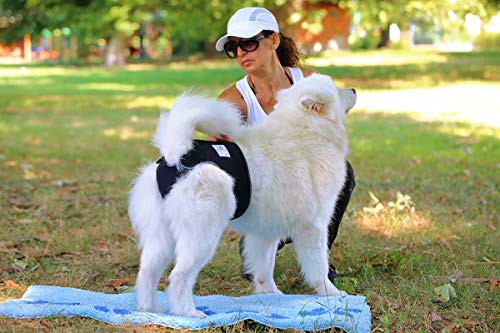 NATURE PET Braguitas para Perros Hembra en periodo de celo/Braguitas para Perros Macho/Braguitas Protectoras de Neopreno Perforado Rojo - L