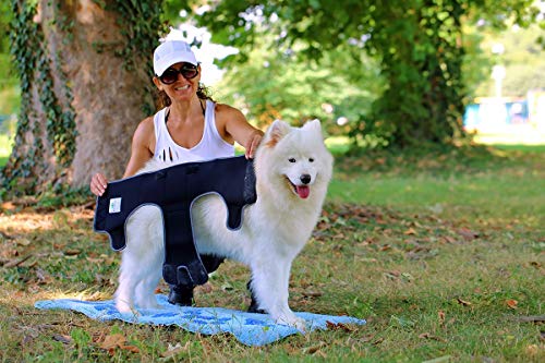 NATURE PET Braguitas para Perros Hembra en periodo de celo/Braguitas para Perros Macho/Braguitas Protectoras de Neopreno Perforado Rojo - L