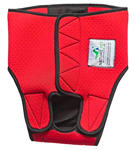 NATURE PET Braguitas para Perros Hembra en periodo de celo/Braguitas para Perros Macho/Braguitas Protectoras de Neopreno Perforado Rojo - L