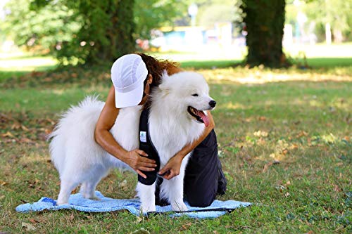 NATURE PET Vendaje contra Callos por no moverse Durante Largo Tiempo/Vendaje para Callos/Vendaje de Codo/Vendaje de Perro en Caso de higroma - Azul - L