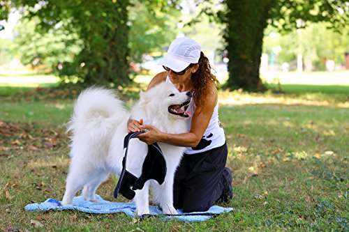 Nature Pet Vendaje de Codo para Perros/Vendaje para Callos/Vendaje de Codo/Vendaje de Perro en Caso de higroma (L, Negro)