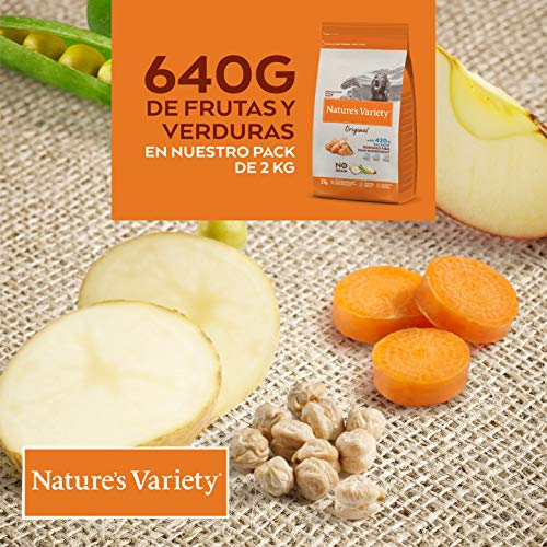 Nature's Variety Original No Grain - Pienso para perros adultos con salmón sin espinas 2 Kg