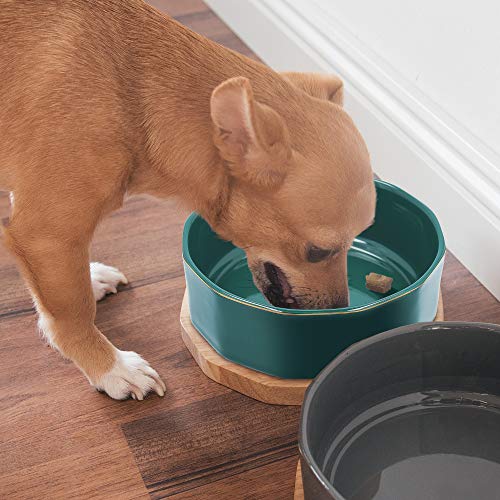 Navaris Comedero y Bebedero para Mascotas - 2X Bol Elevado para Perro Cachorro Gato - Boles con Base de Madera para Mascota - Gris y Azul petróleo