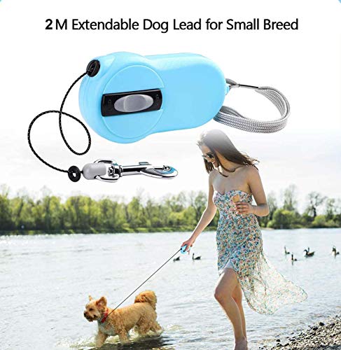 NBZLY -Correa para Perros Extensible, 360 ° Sin Enredos, Mini Correa para Perros 2M, Ideal para Razas Pequeñas, Perros, Gatos, Conejos De Menos De 10 Kg, con Freno Y Candado,2 Blue