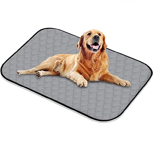 NC Alfombras de adiestramiento caninas, Lavable Entrenamiento Almohadilla para Mascota, Pañales para Perros, Gatos, Perros Reutilizable Absorbente Antideslizante Pet Pee Pad (100X140CM)