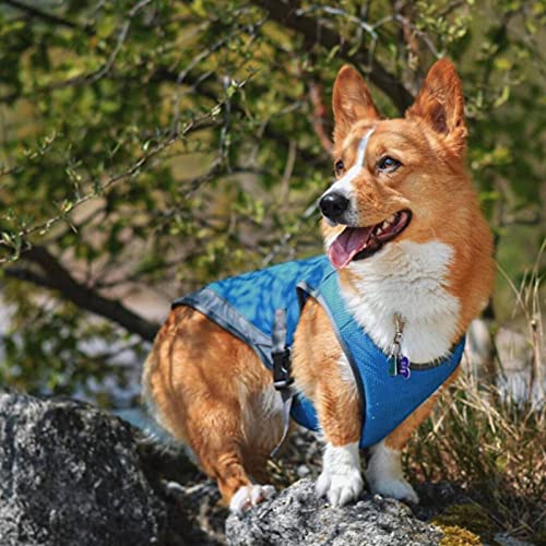 NC Chaleco de enfriamiento para Perros Chaqueta Ligera para Mascotas Arnés para Perros evaporativo con Abrigos de Hebilla Ajustable Chaqueta más Fresca Iridiscente a Prueba de Sol