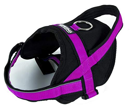 Neewa Arnés Utility M, Fucsia