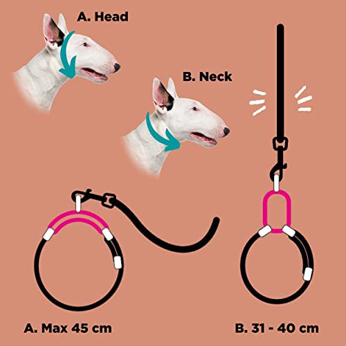 Nenoo Collar de Martingala Ancho para Perros Medianos/Grandes como Galgo Anti Escape (Rusty Red)