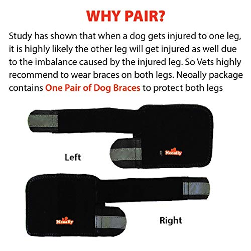 NeoAlly Par De Tirantes Delanteros para Perros, Soporte Carpiano Canino con Correas Reflectantes De Seguridad para La Articulación De La Muñeca del Carpo - 3 Colores(Negro)(L/XL)