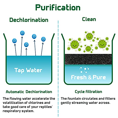 Neptonion - Goteador de Agua para Reptiles, camaleón, Cantina, Incluye Pinzas de alimentación y Pinzas esmeriladas para Anfibios, Insectos, Lagarto, Tortuga, Serpiente, araña, Rana, Gecko