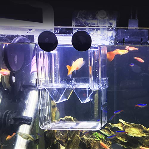 Netspower de Doble Capa de desove del Acuario desove Bandeja, plástico Transparente Cultivo de Peces Aislamiento Tanque de cría Caja de cría con 2 ventosas para Peces - 8 * 7 * 11 cm