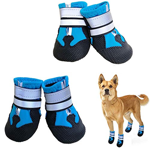 NeuWee Zapatos para Perros a Prueba de Agua (XL, Azul)