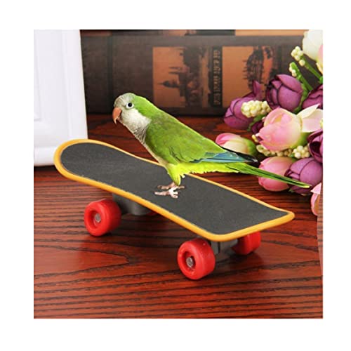 NiceButy Pájaro Loro Juguetes Entrenamiento Stand Stand Perca para periquitos periquitos Cockatiels Lovebird Conure Gracioso Mesa Juguete Loro monopatín 14 cm