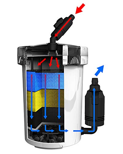 NICREW Filtro Acuario Externo, Filtros Exteriores para Pecera y Acuario, Filtro con 3 Esponjas, 1 Algodón Bioquímico, 1 Bio Ball, Depuradora Acuario, Caudal de 800 L/H