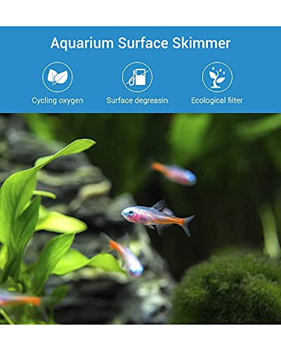 NICREW Skimmer de Superficie de Acuario, Aspirador de Superficie para Película de Aceite y Residuos, 300L / H, Skimmer de Superficie de Acuario de 3W