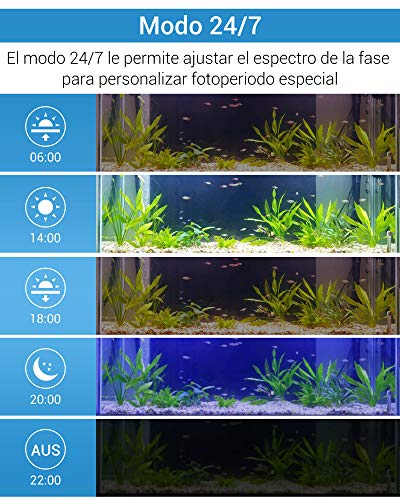 NICREW SkyLED RGB+W 24/7 Luz Acuario, Luz LED Multiespectral para Acuario, Pantalla LED Acuario con Control Remoto, Iluminación, LED para Acuarios 58-72 cm, 21 W, 1050 LM